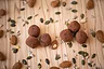 Boules Énergie Cacao Dattes 5 Boules 2