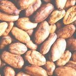 Fèves De Cacao Crues 2