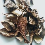 Cepes Mushrooms Organic 2