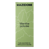 Peppermint Essential Oil 2