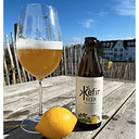 Kefir Beer 3