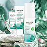 24h Hydrating Face Cream 3
