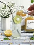 Ginger Concentrate 3