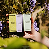 Lavender Essential Oil 3