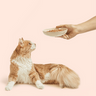 Pack Pâtée Chat Adulte Stérilisé Poulet 4