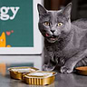Sterilized Zalm Volwassen Kat Pâté Pack 3