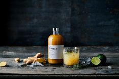 Ginger Concentrate 3