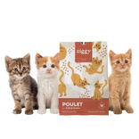 Chicken & Salmon Oil Grain-Free Kitten Kibble 3