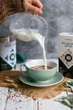 Moccaccino Détox Instantané 3