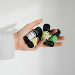 Eucalyptus Radiata Essential Oil 3