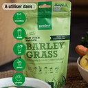 barley grass juice powder 2