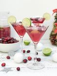 Cranberries in Bulk 4