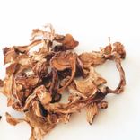 Small Chanterelle Mushrooms Organic 4