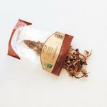 Small Chanterelle Mushrooms Organic 5