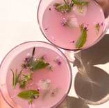 Boisson Collagene Booster Framboise Fleur de Sureau 1