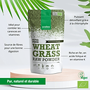 Wheatgrass Powder 2