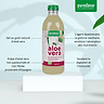Boisson Aloe Vera Gel Avec Pulpe 2