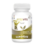 Enzyvits (digestion)
