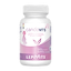 Candovits (immunity and fatigue)