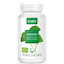 Ginkgo biloba vegan