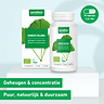 Ginkgo biloba vegan 4