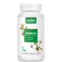 Boswellia extract vegan 0