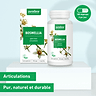 Boswellia-extract vegan 2