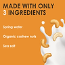 Cashew Milk 1