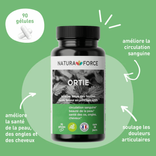 Ortie Piquante 2