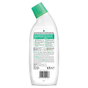 Nettoyant WC Pin 1
