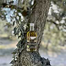 Huile Olive Truffe Noire 1