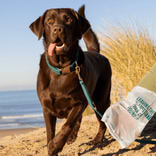 Sacs Déjections Compostables 3