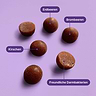 Gut Gummies 1