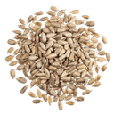 French Sunflower Seeds in Bulk 0