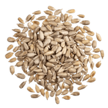 French Sunflower Seeds in Bulk 0