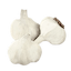 Ail (3 pièces)