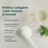 Marine collagen Mint-Lemon 3