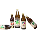 Kombucha Lime Ginger 2