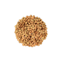 Lentilles Brunes en vrac 0
