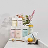 Pack Laundry Detergent 2