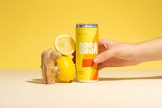 Ginger Lemon Energy Drink 1