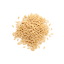 Tarwe Orzo in Bulk