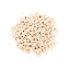 Pijnboompitten in bulk