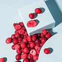 Gevriesdroogde Cranberries 2