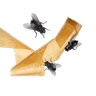 Vliegenvangers Spiralen 1