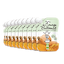 Flesje Butternut Pompoen vanaf 4 maanden