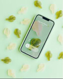 Bonbon Melon Pomme Vegan 1