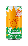 Sparkling Orange Drink