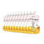 Mango Puree + 6 months