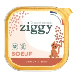 Pack Pâtée Chaton Bœuf 1